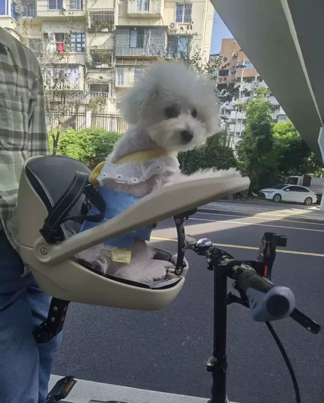 Adequado para bicicletas dobrá - Mountain Biking With Dog avaliação e preço